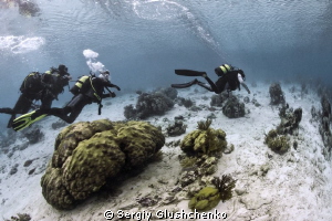 Old divesite by Sergiy Glushchenko 